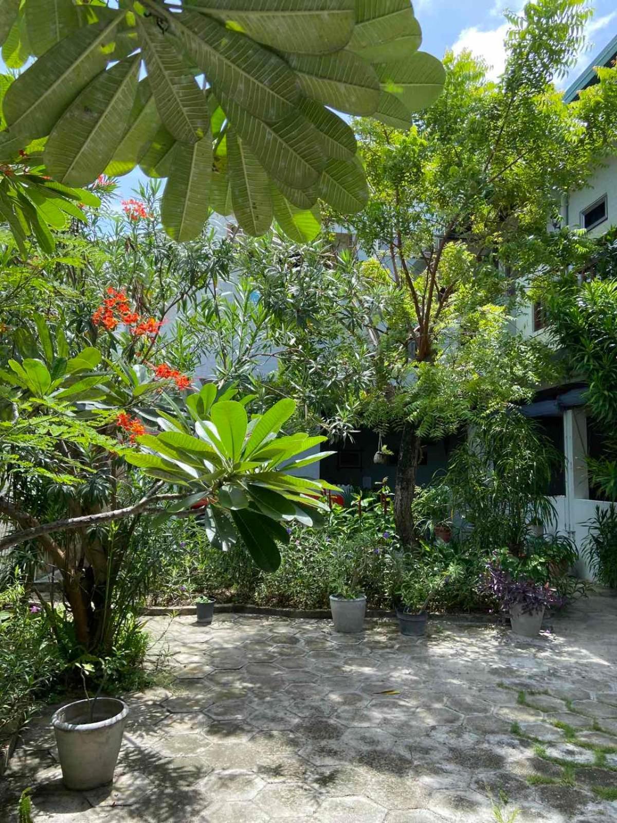 Hanimaadhoo Island 蔚蓝景观旅馆酒店 外观 照片