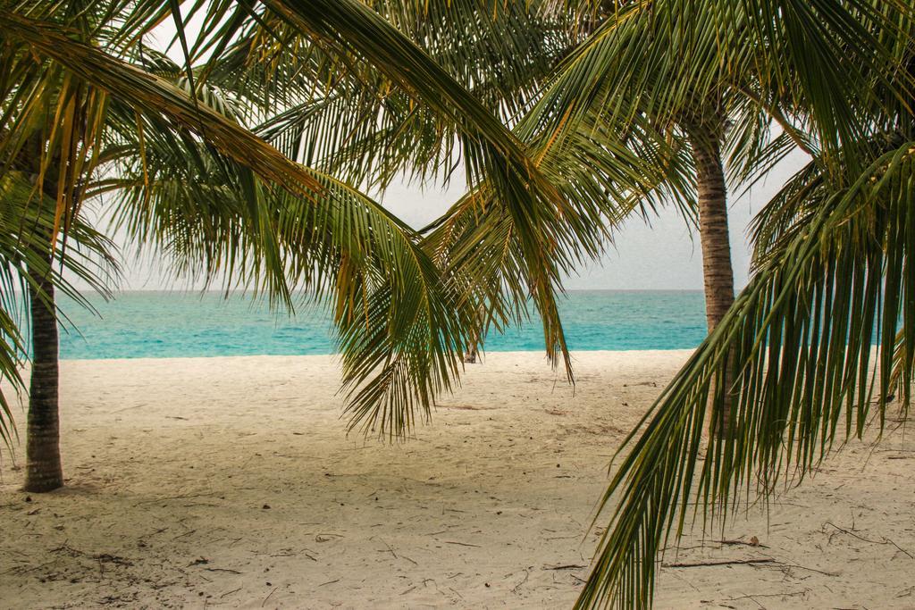 Hanimaadhoo Island 蔚蓝景观旅馆酒店 外观 照片